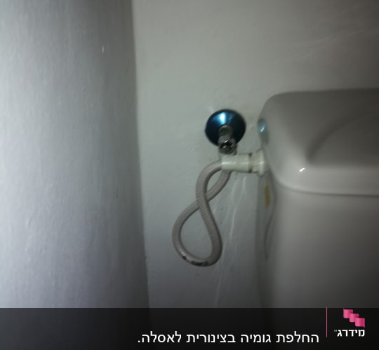 צינור מים מחובר לאסלה עם ברז